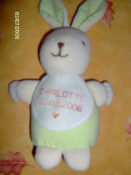 lapin de naissance